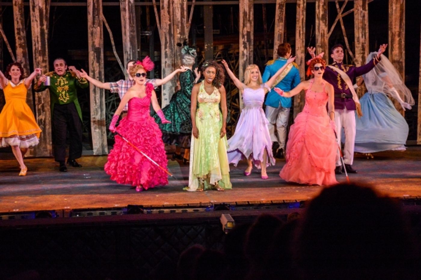 Photo Flash: First Look at Heather Headley, Erin Dilly, Rob McClure and More in INTO THE WOODS at The Muny  Image