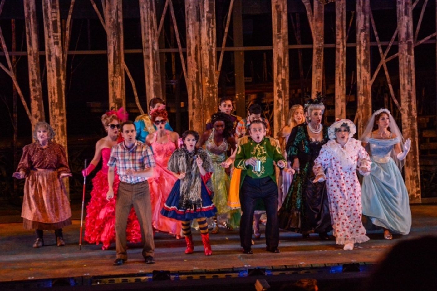 Photo Flash: First Look at Heather Headley, Erin Dilly, Rob McClure and More in INTO THE WOODS at The Muny  Image