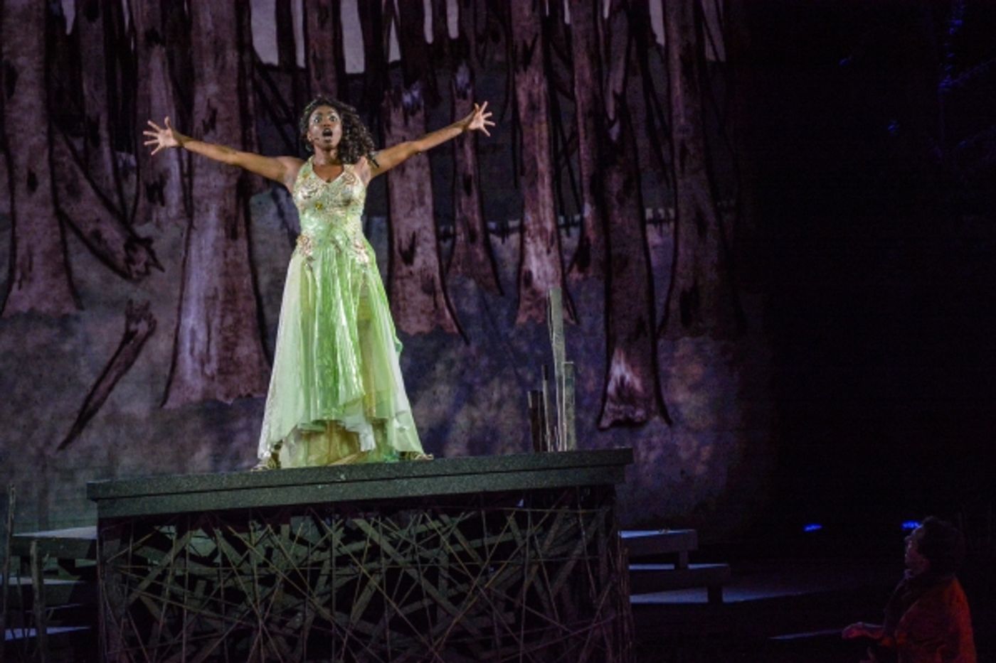 Photo Flash: First Look at Heather Headley, Erin Dilly, Rob McClure and More in INTO THE WOODS at The Muny  Image