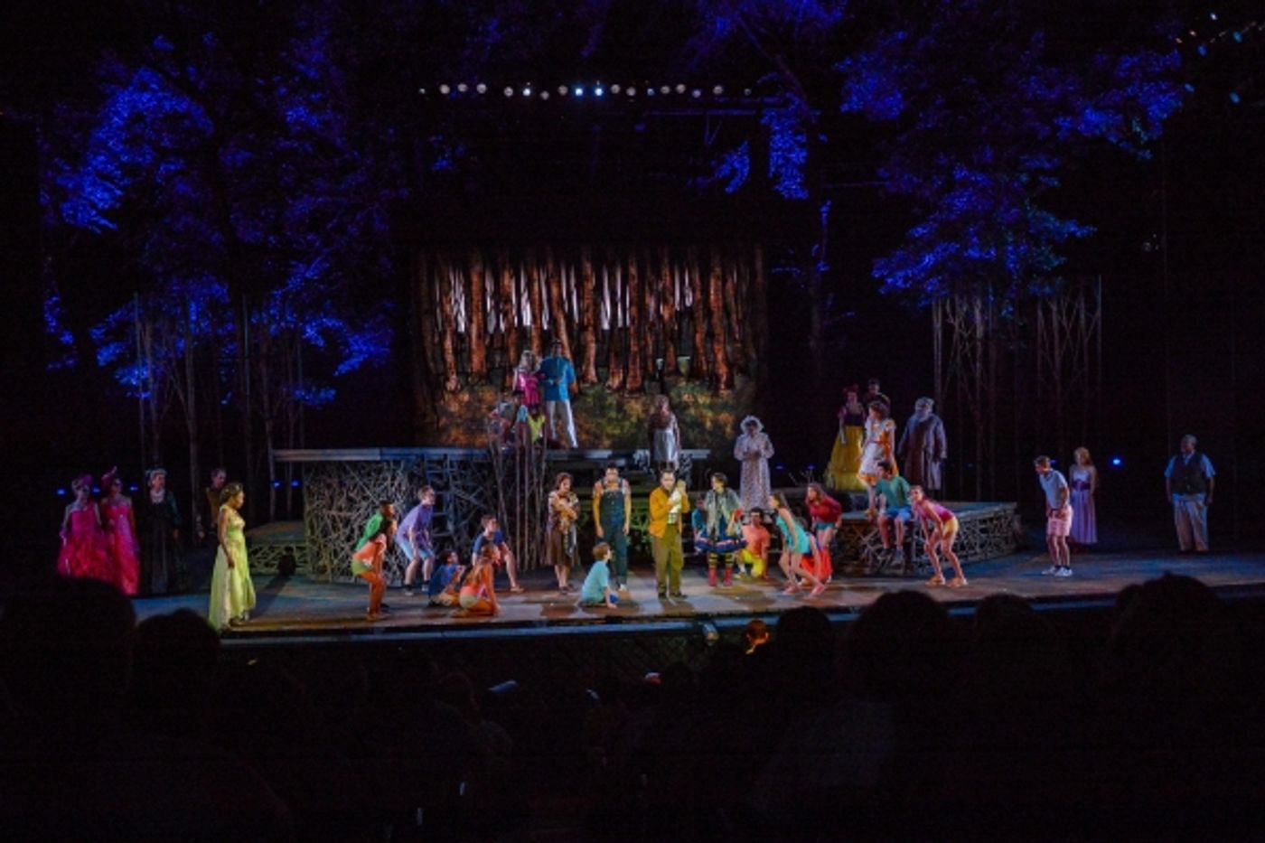 Photo Flash: First Look at Heather Headley, Erin Dilly, Rob McClure and More in INTO THE WOODS at The Muny  Image