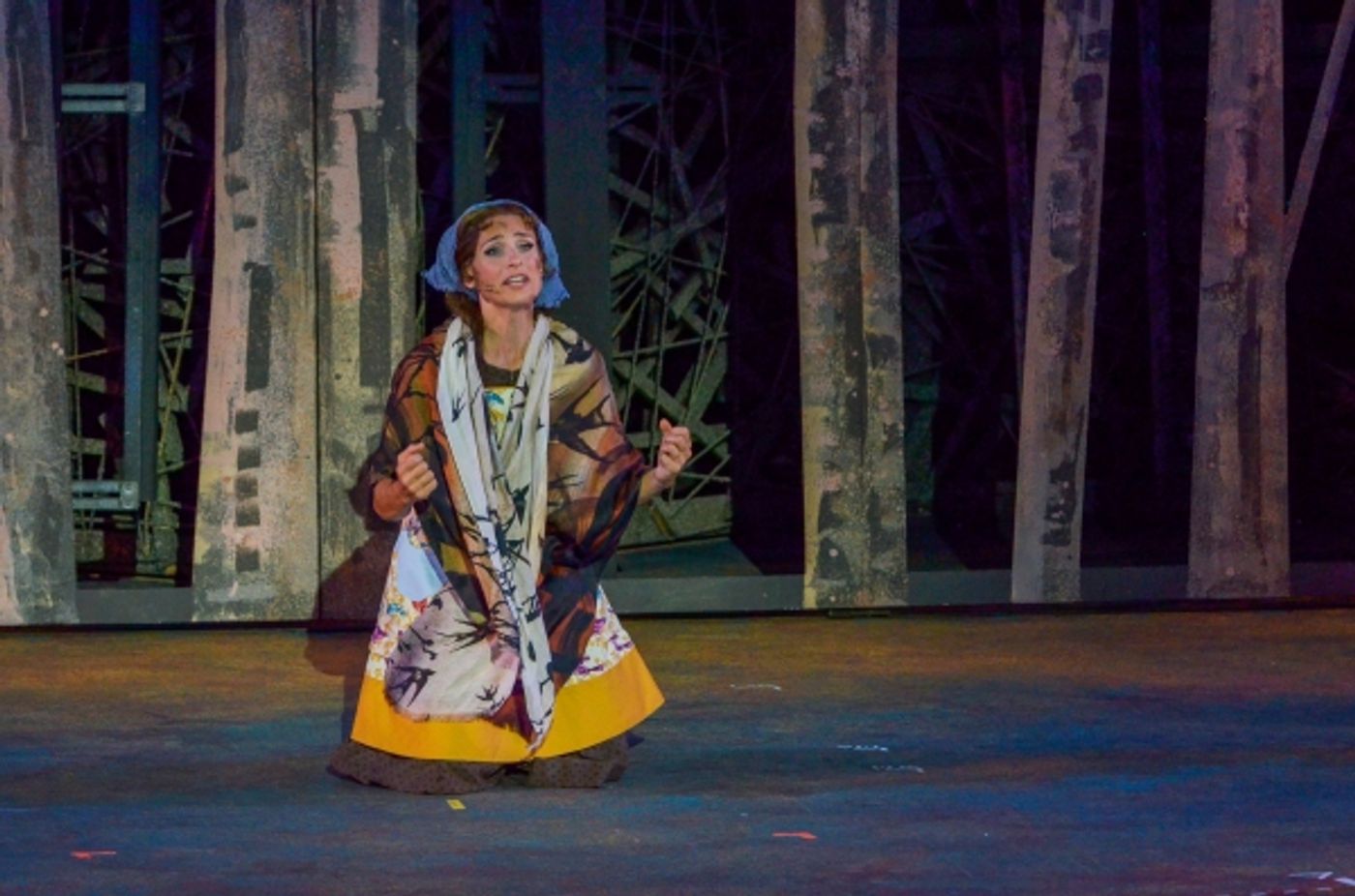 Photo Flash: First Look at Heather Headley, Erin Dilly, Rob McClure and More in INTO THE WOODS at The Muny  Image