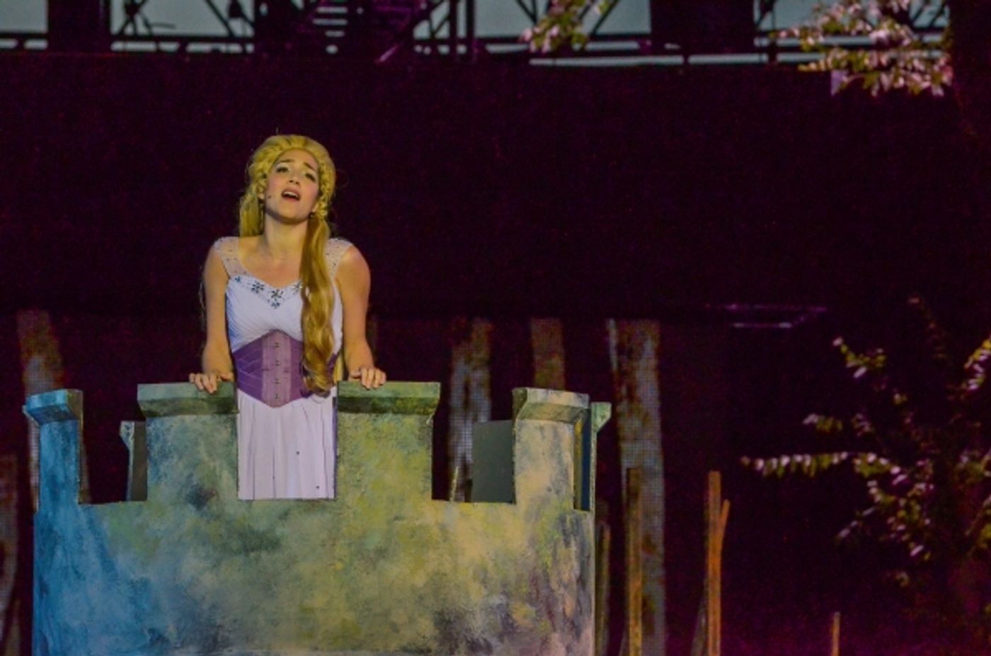 Photo Flash: First Look at Heather Headley, Erin Dilly, Rob McClure and More in INTO THE WOODS at The Muny  Image