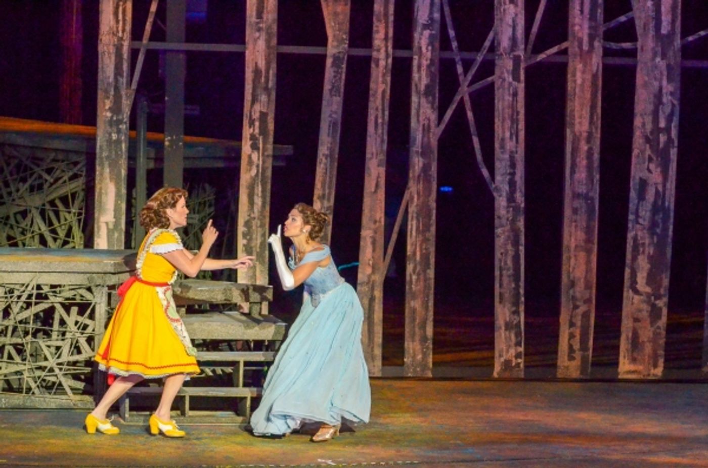 Photo Flash: First Look at Heather Headley, Erin Dilly, Rob McClure and More in INTO THE WOODS at The Muny  Image