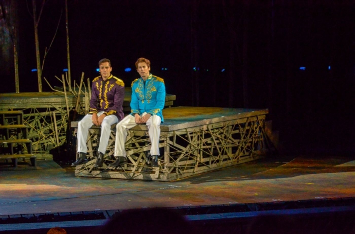 Photo Flash: First Look at Heather Headley, Erin Dilly, Rob McClure and More in INTO THE WOODS at The Muny  Image