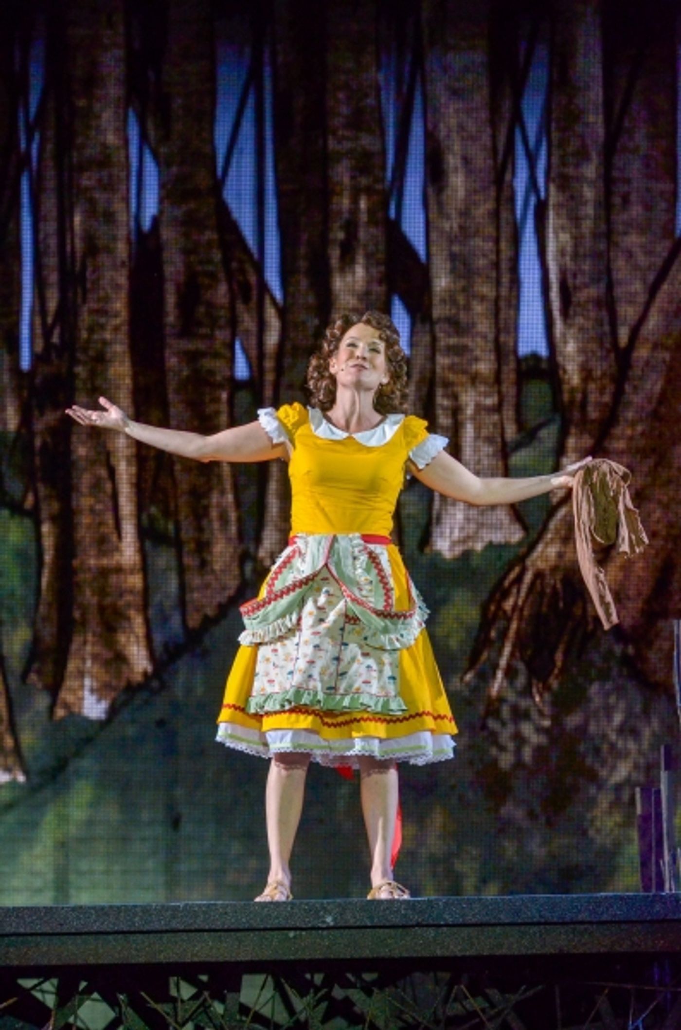 Photo Flash: First Look at Heather Headley, Erin Dilly, Rob McClure and More in INTO THE WOODS at The Muny  Image