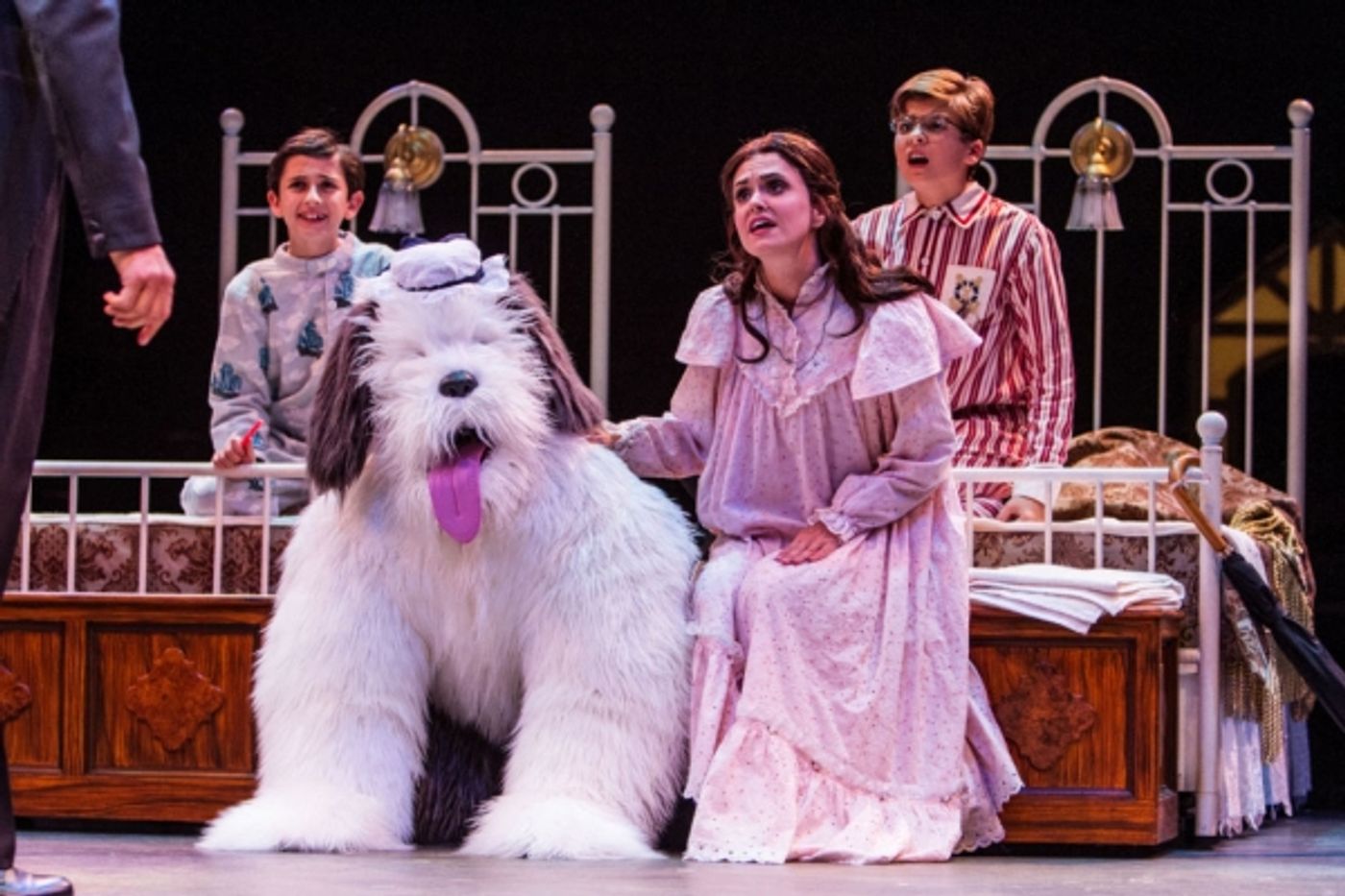 Photo Flash: First Look at Jenn Colella, Jennifer Hope Wills, Paul Schoeffler and More in PETER PAN at Music Circus  Image