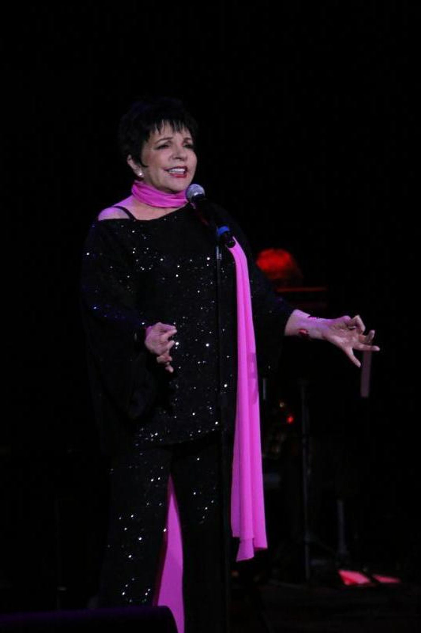 Photo Coverage: Liza's Back! Minnelli Performs First Concert in More Than a Year  Image