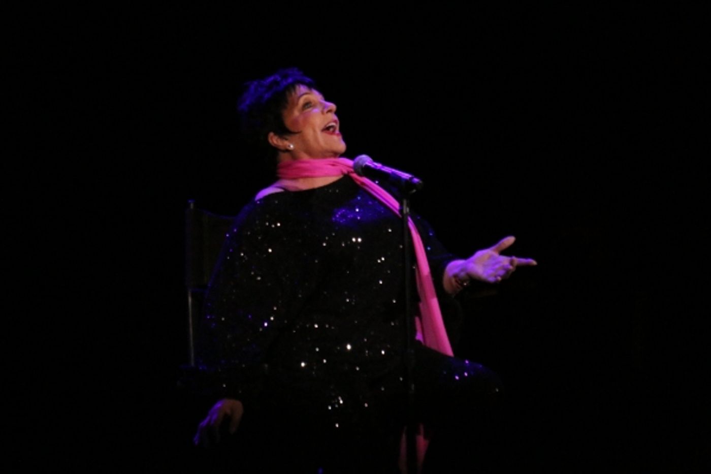 Photo Coverage: Liza's Back! Minnelli Performs First Concert in More Than a Year  Image