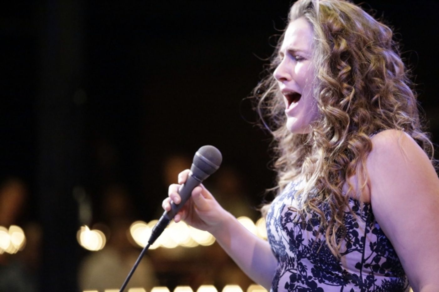 Photo Coverage: THE 2015 FIRST NIGHT PREVIEW PARTY  Image