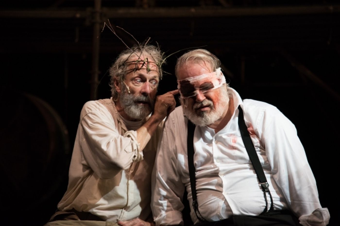Photo Flash: First Look at Will Lyman in Commonwealth Shakespeare's KING LEAR, Opening Tonight  Image