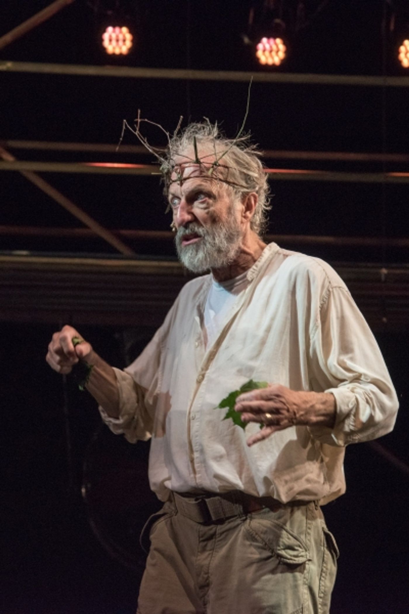 Photo Flash: First Look at Will Lyman in Commonwealth Shakespeare's KING LEAR, Opening Tonight  Image