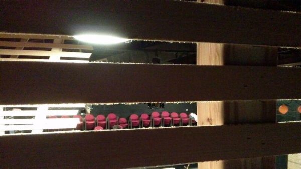 Photo Flash: Exclusive Sneak Peek Backstage Look of Jessica Grove and More in Encore Theatre's INTO THE WOODS  Image