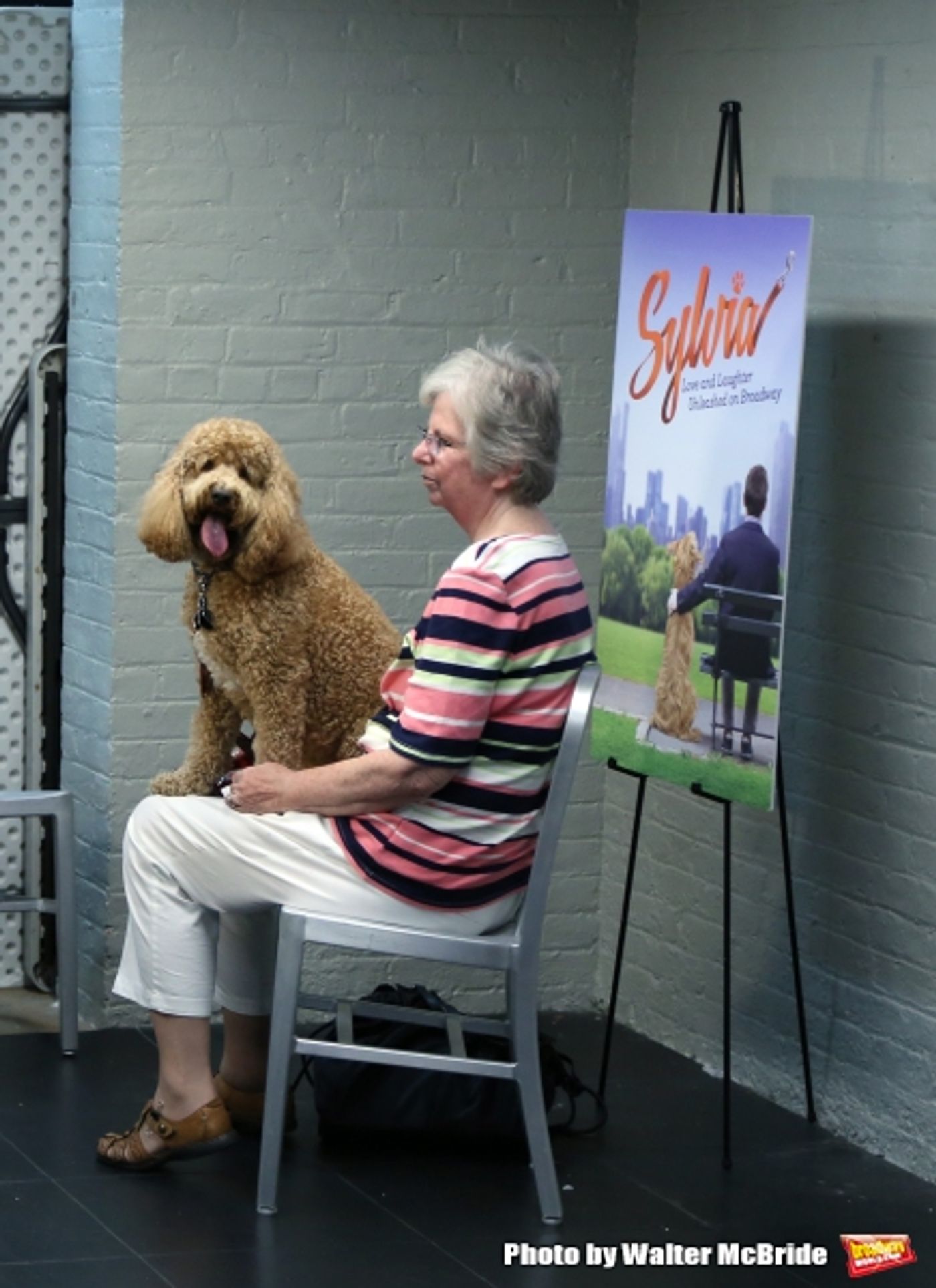 Photo Coverage: Calling All Dogs! SYLVIA Team Seeks a K-9 Counterpart for Annaleigh Ashford! Photo Coverage: Calling All Dogs! SYLVIA Team Seeks a K-9 Counterpart for Annaleigh Ashford! Image