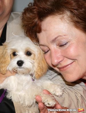 Julie White @ BroadwayWorld Julie White Photo