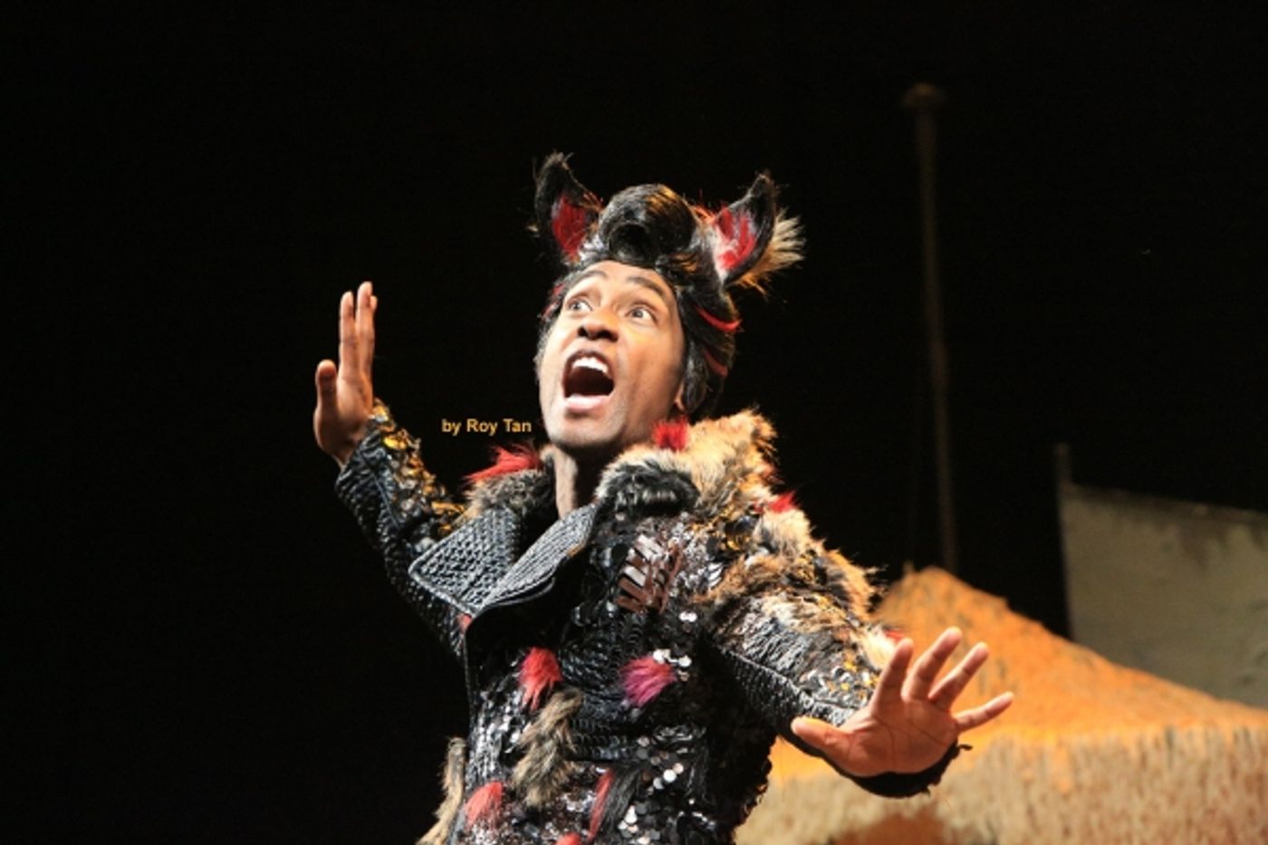 Photo Coverage: First Look at THE THREE LITTLE PIGS, Starting Tonight at The Palace Theatre  Image