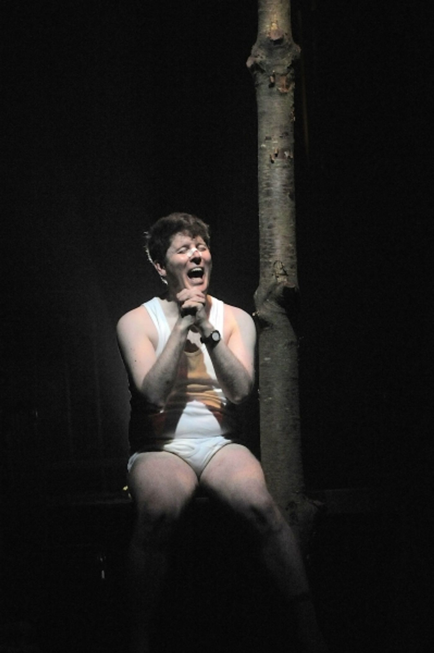 Photo Flash: First Look at NEVILLE's ISLAND at Stephen Joseph Theatre  Image