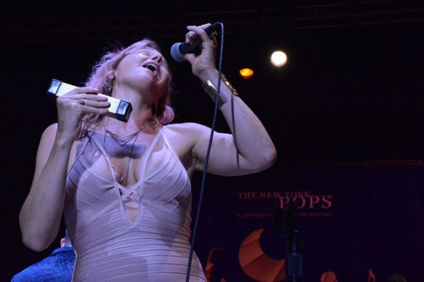 Photo Coverage: New York Pops and Pink Martini Play Forest Hills Stadium  Image