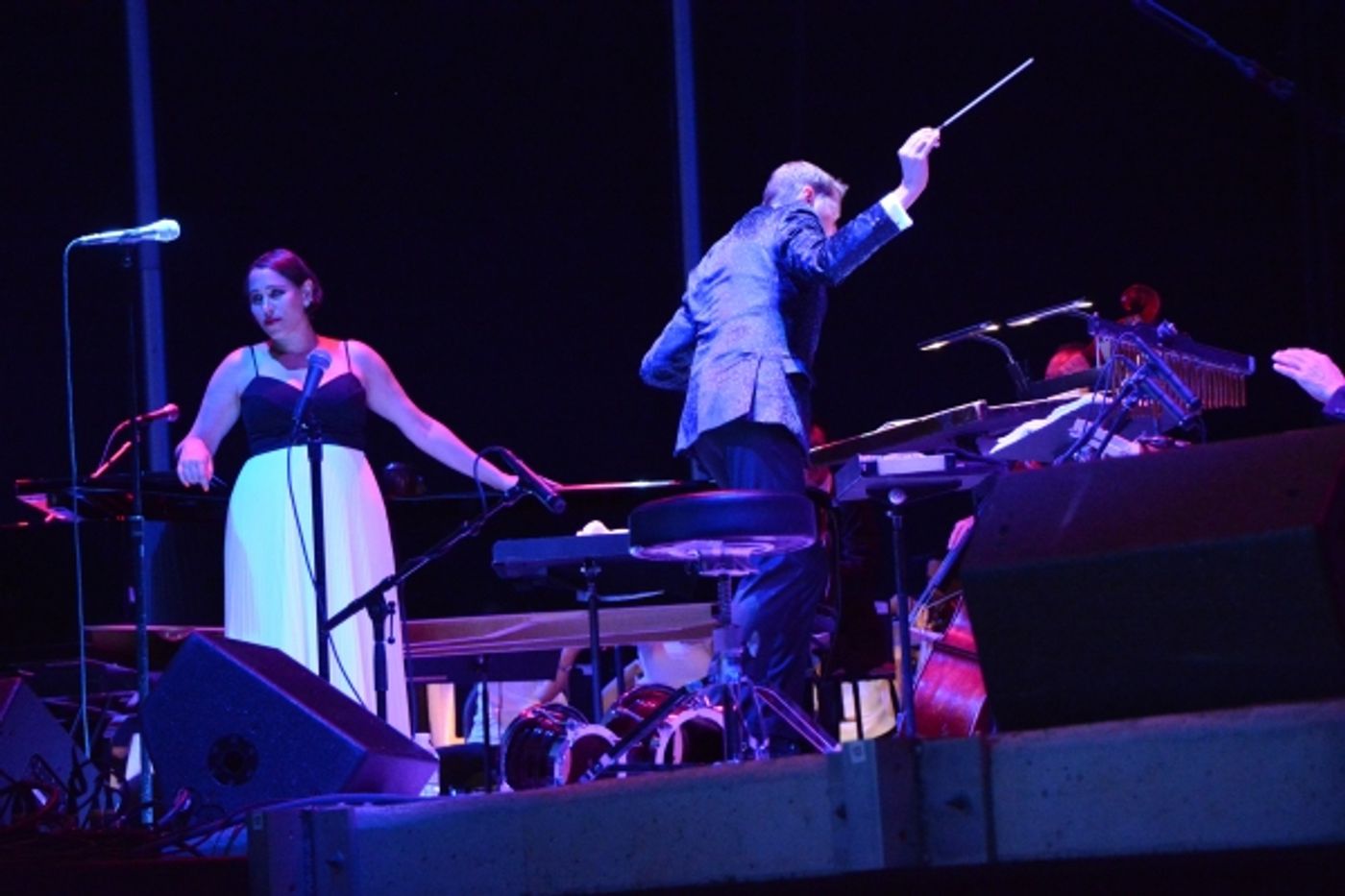 Photo Coverage: New York Pops and Pink Martini Play Forest Hills Stadium  Image