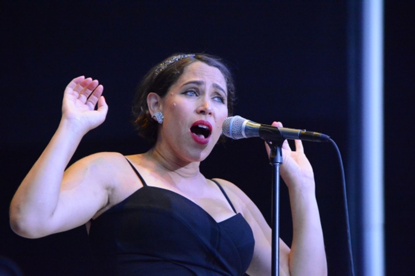 Photo Coverage: New York Pops and Pink Martini Play Forest Hills Stadium  Image