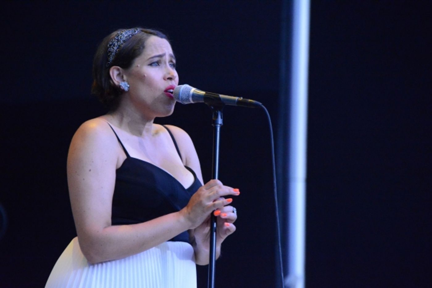 Photo Coverage: New York Pops and Pink Martini Play Forest Hills Stadium  Image