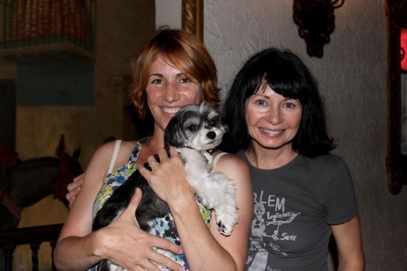 Photo Flash: Tinkerbelle the Dog Stars as 'Chowsie' in GYPSY at Harbor Lights Theater Photo Flash: Tinkerbelle the Dog Stars as 'Chowsie' in GYPSY at Harbor Lights Theater Image