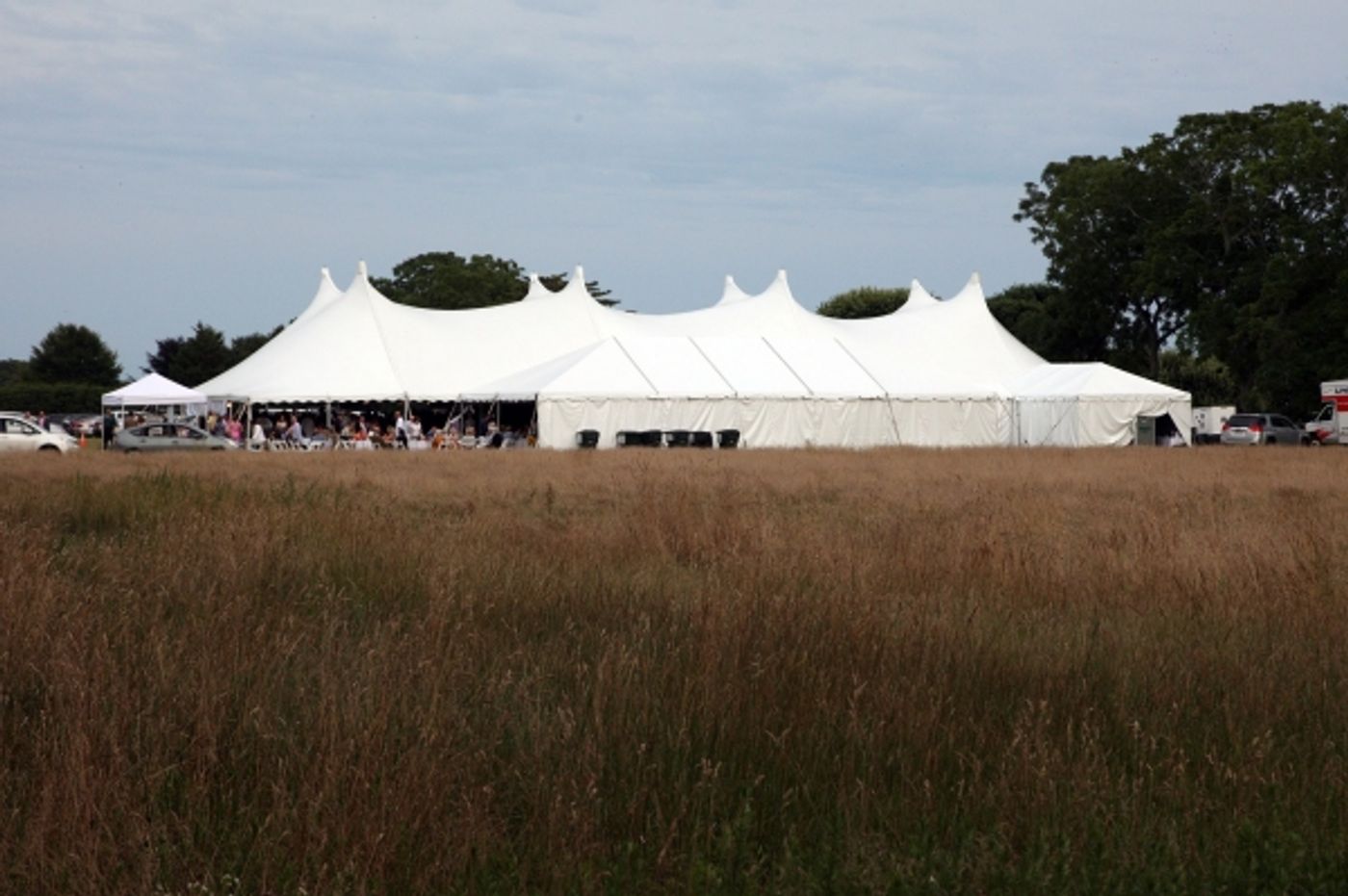 Photo Flash: Dr. Ruth, Ed Burns, Stewart F. Lane and More at East Hampton Library's 2015 Authors Night Benefit  Image