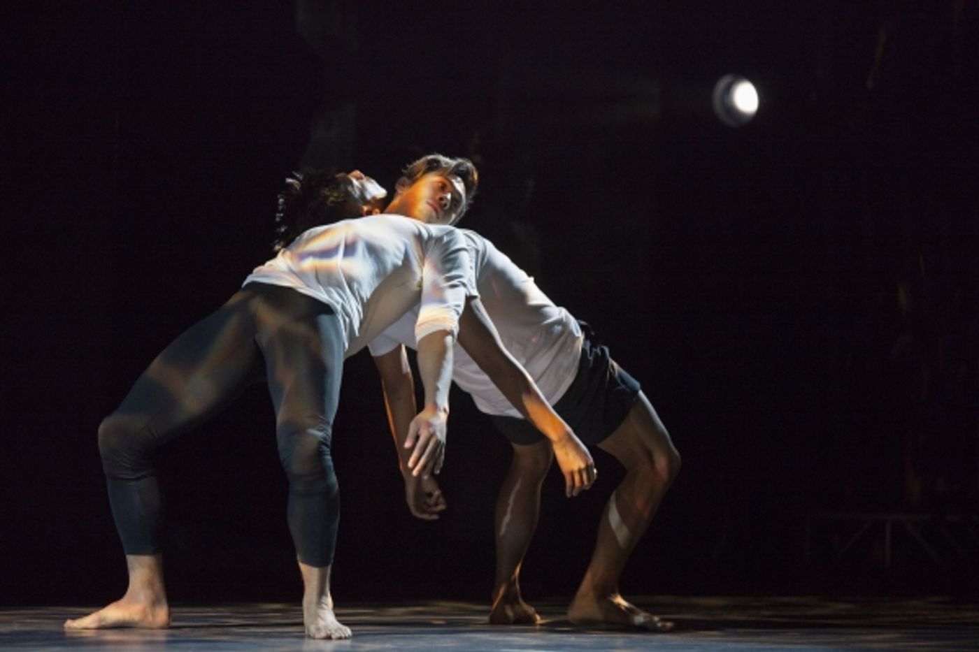 Photo Flash: First Look at Dance-Theatre Spectacular PEARL at Lincoln Center Photo Flash: First Look at Dance-Theatre Spectacular PEARL at Lincoln Center Image