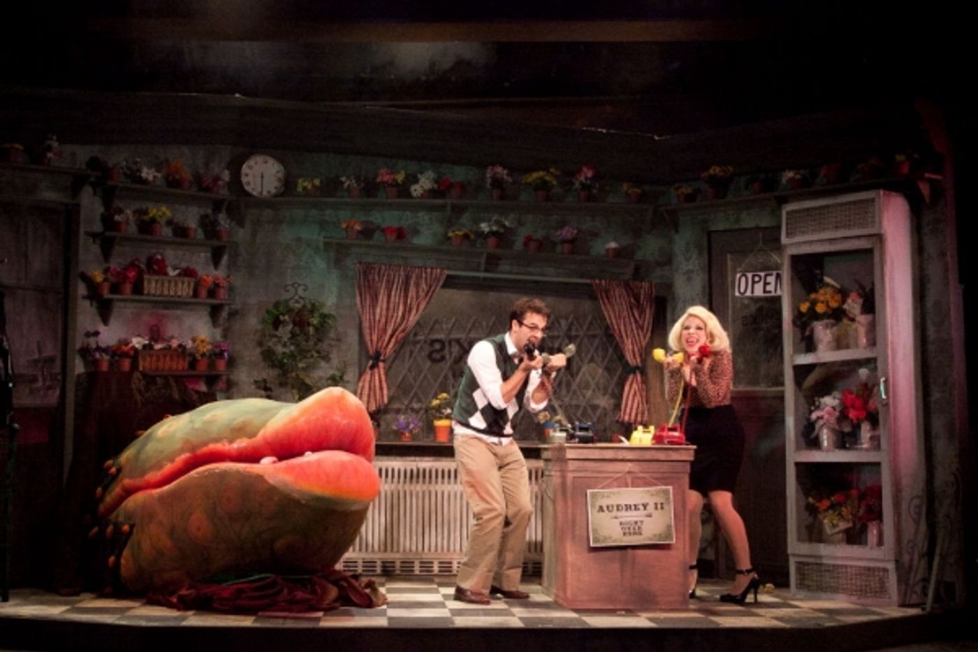 Photo Flash: First Look at Lauren Marcus, Ryan Vona and More in LITTLE SHOP OF HORRORS at Sharon Playhouse  Image