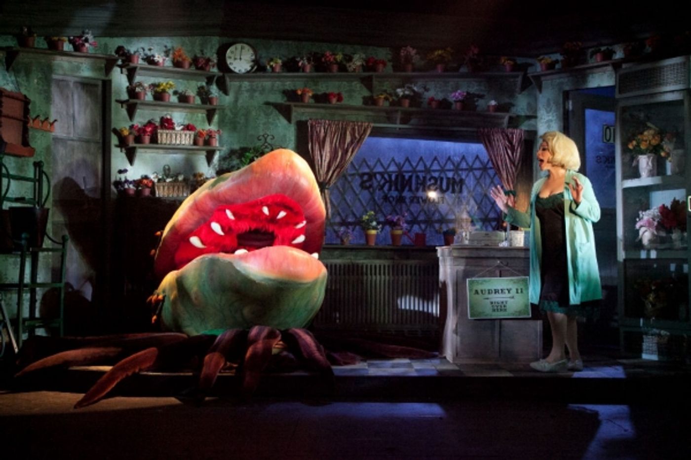 Photo Flash: First Look at Lauren Marcus, Ryan Vona and More in LITTLE SHOP OF HORRORS at Sharon Playhouse  Image