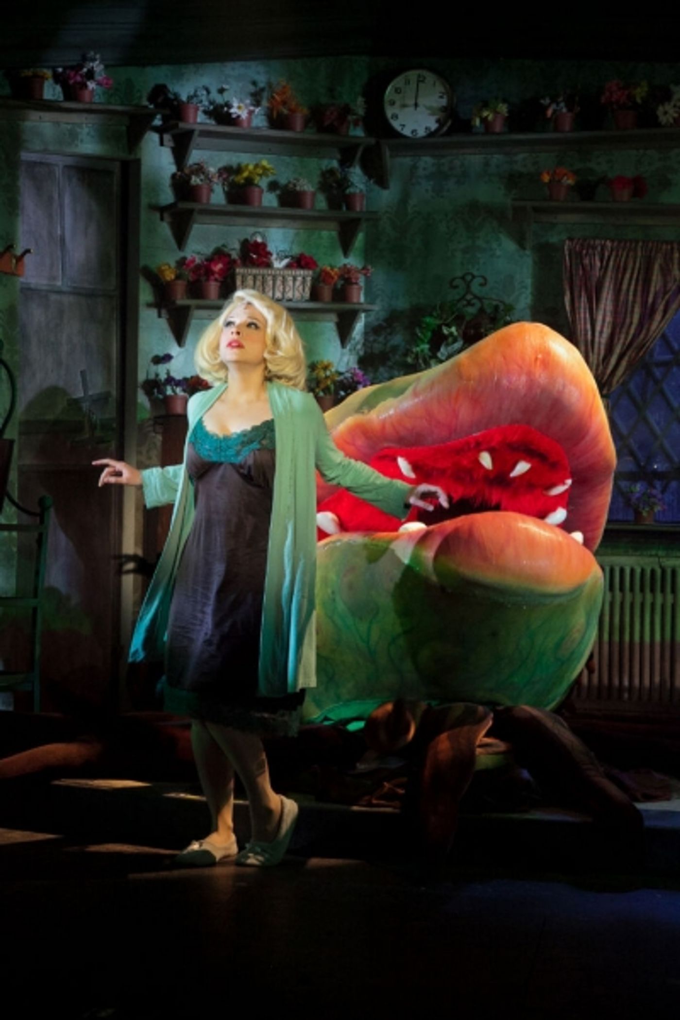 Photo Flash: First Look at Lauren Marcus, Ryan Vona and More in LITTLE SHOP OF HORRORS at Sharon Playhouse  Image