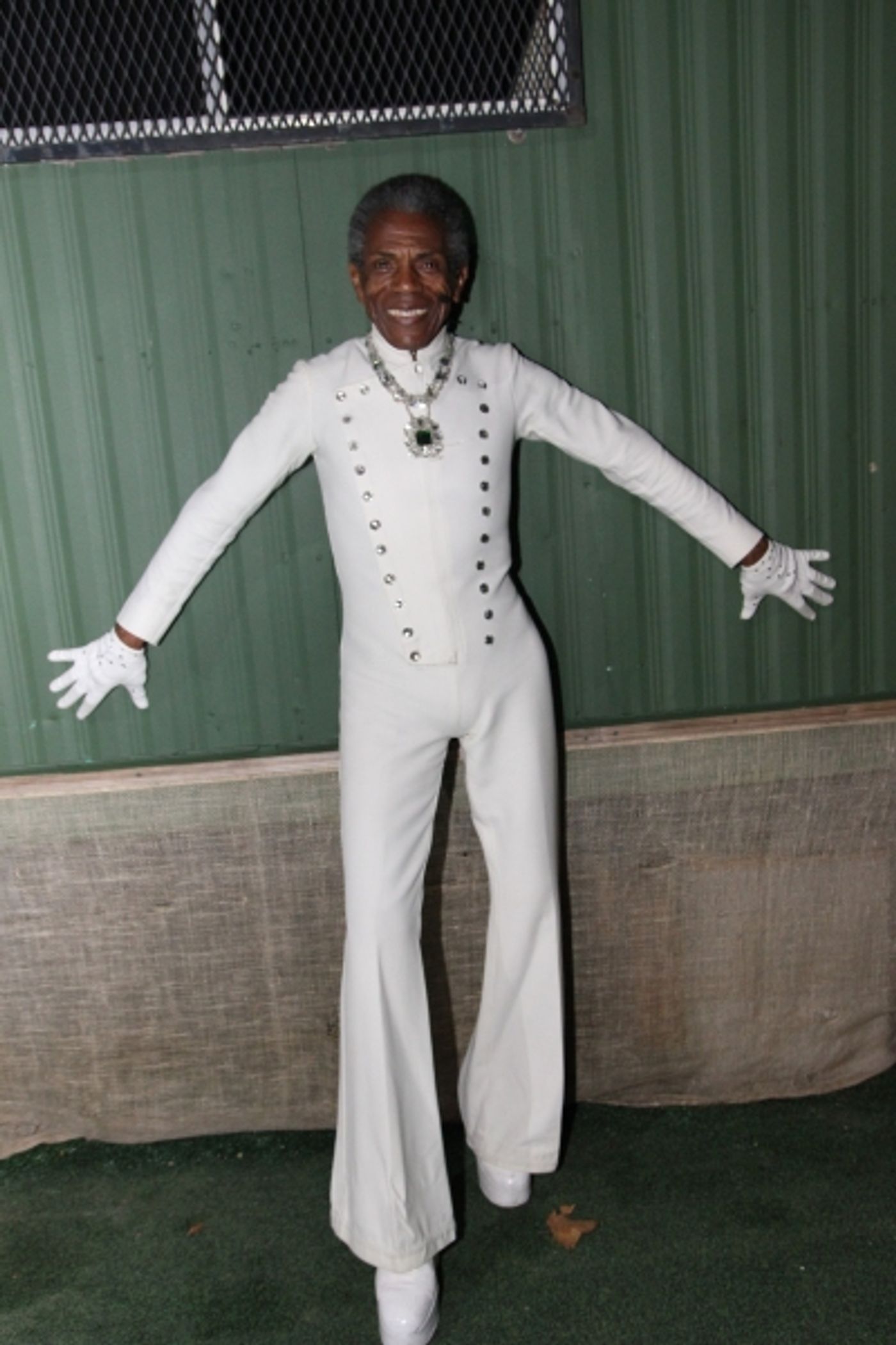 Photo Flash: Phylicia Rashad, Andre De Shields & More Original Cast Members from THE WIZ Reunite in Central Park! Image