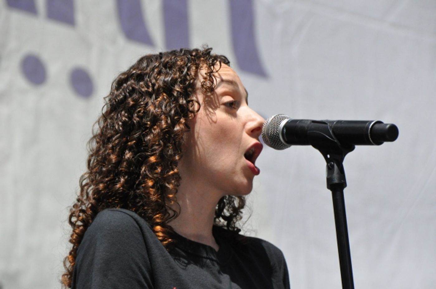 Photo Coverage: SPRING AWAKENING, KING AND I & More Wrap Up This Season of BROADWAY IN BRYANT PARK  Image