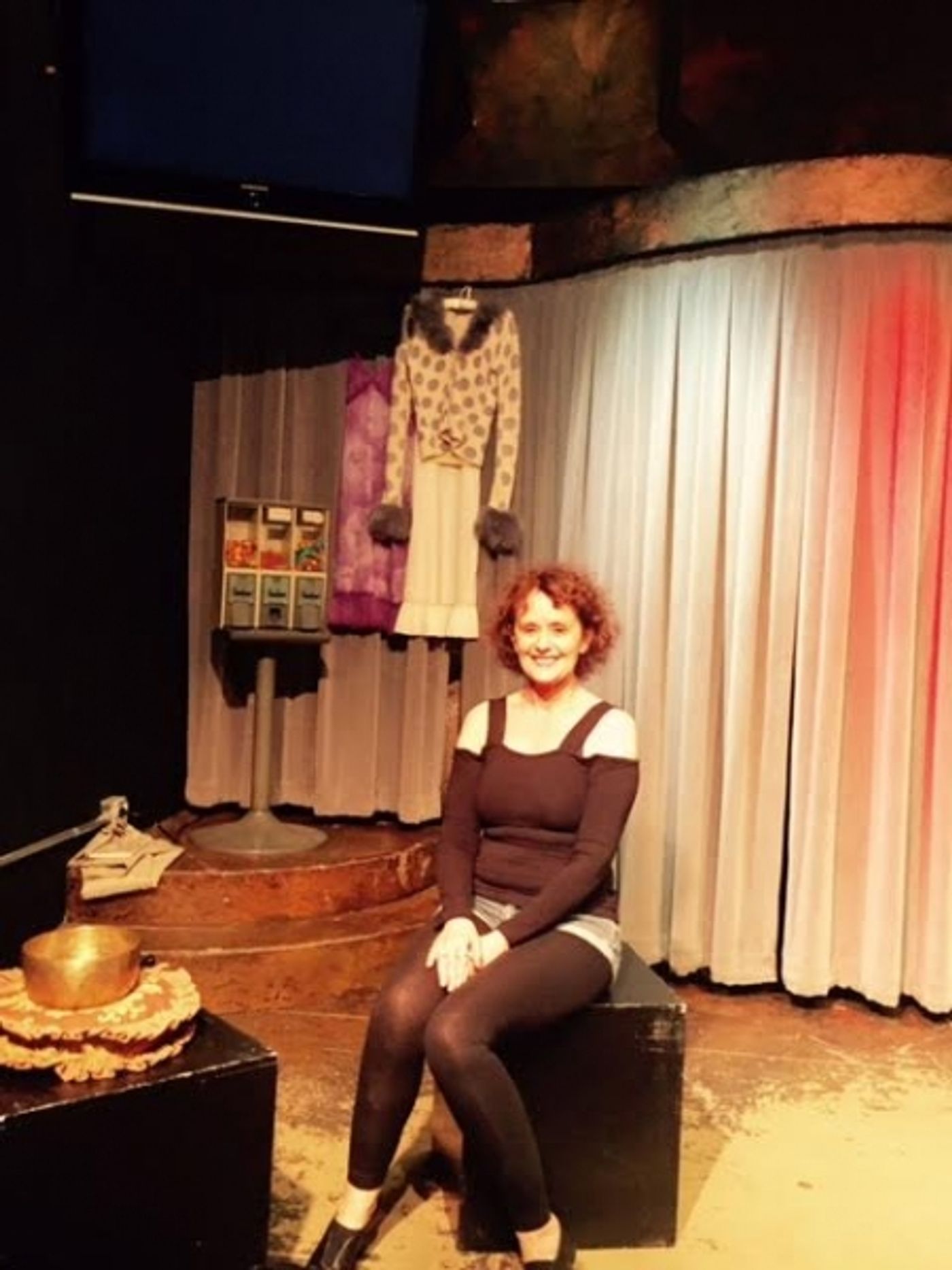 Photo Flash: Maureen Teefy's One-Woman Show A SUBJECT FOR A SHORT STORY Plays fanatic Salon Theatre Image