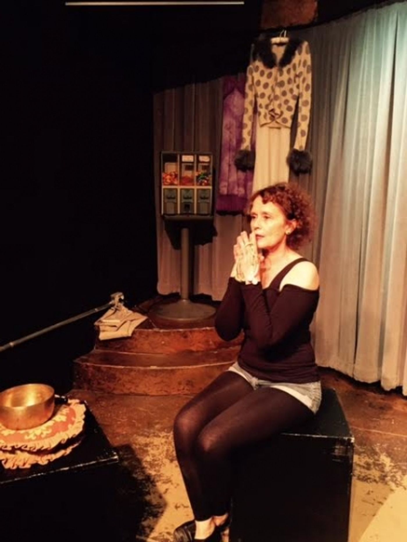 Photo Flash: Maureen Teefy's One-Woman Show A SUBJECT FOR A SHORT STORY Plays fanatic Salon Theatre Image