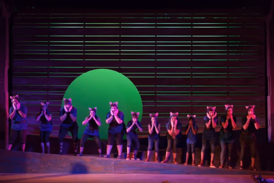 Photo Flash: First Look at The Glimmerglass Festival's Youth Opera, ODYSSEY  Image