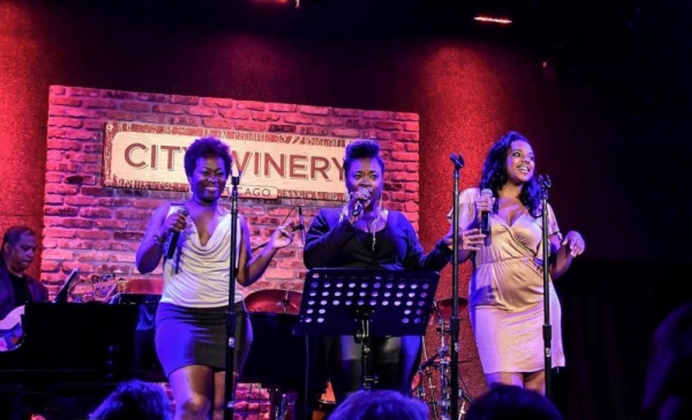 Photo Flash: CHICAGO SINGS THE BEST OF MOTOWN Raises Record Funds for Porchlight Music Theatre  Image