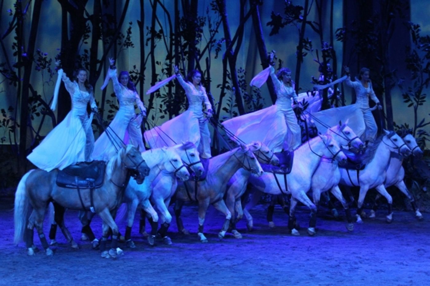 Photo Flash: First Look at Cavalia's ODYSSEO in San Francisco Image