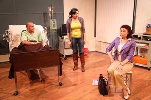 Scott Olson, Aja Wiltshire and Susan Fay @ BroadwayWorld Scott Olson, Aja Wiltshire and Susan Fay Photo