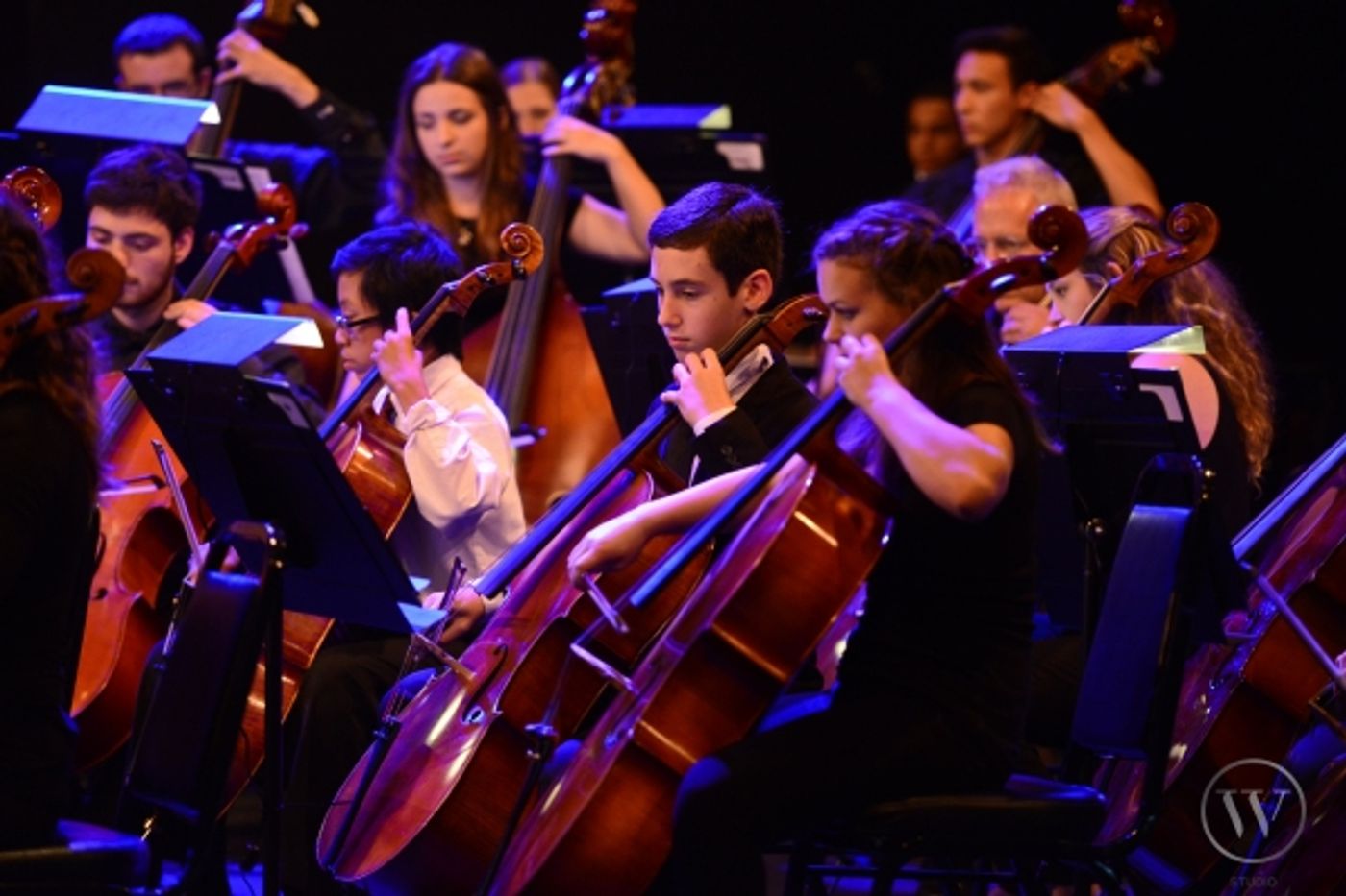 Photo Flash: Laura Osnes and Max von Essen Join New York Pops at French Woods Summer Camp  Image