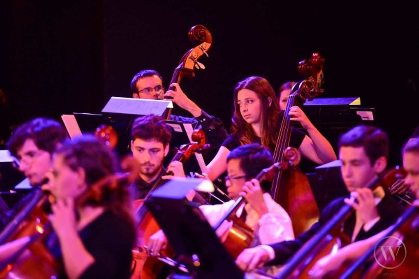 Photo Flash: Laura Osnes and Max von Essen Join New York Pops at French Woods Summer Camp  Image