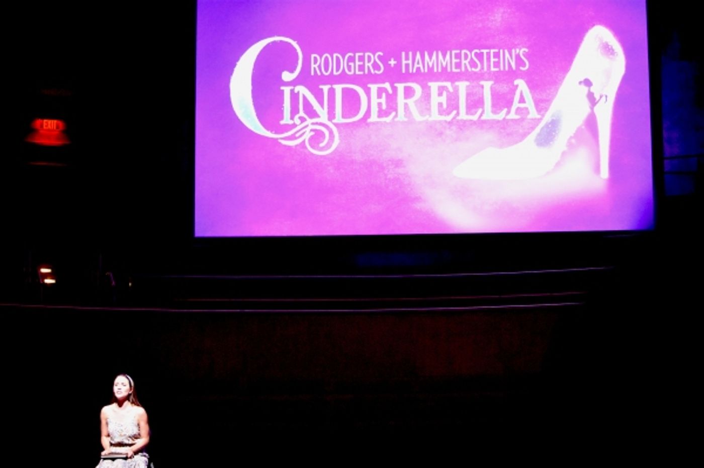 Photo Coverage: Segerstrom Center Previews 2015-2016 Season!  Image