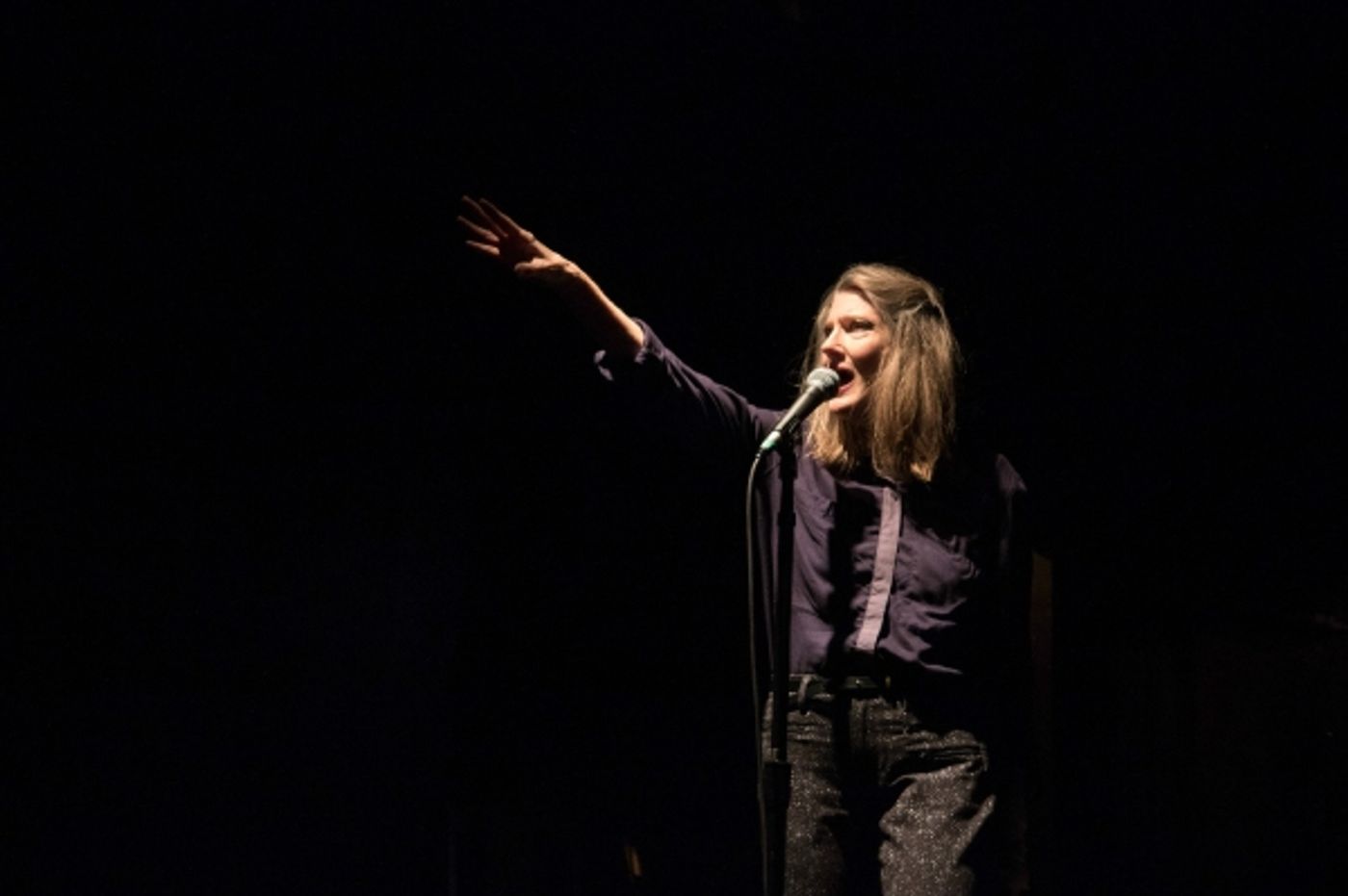 Photo Flash: First Look at Michael Laurence and Annette O'Toole in HAMLET IN BED  Image