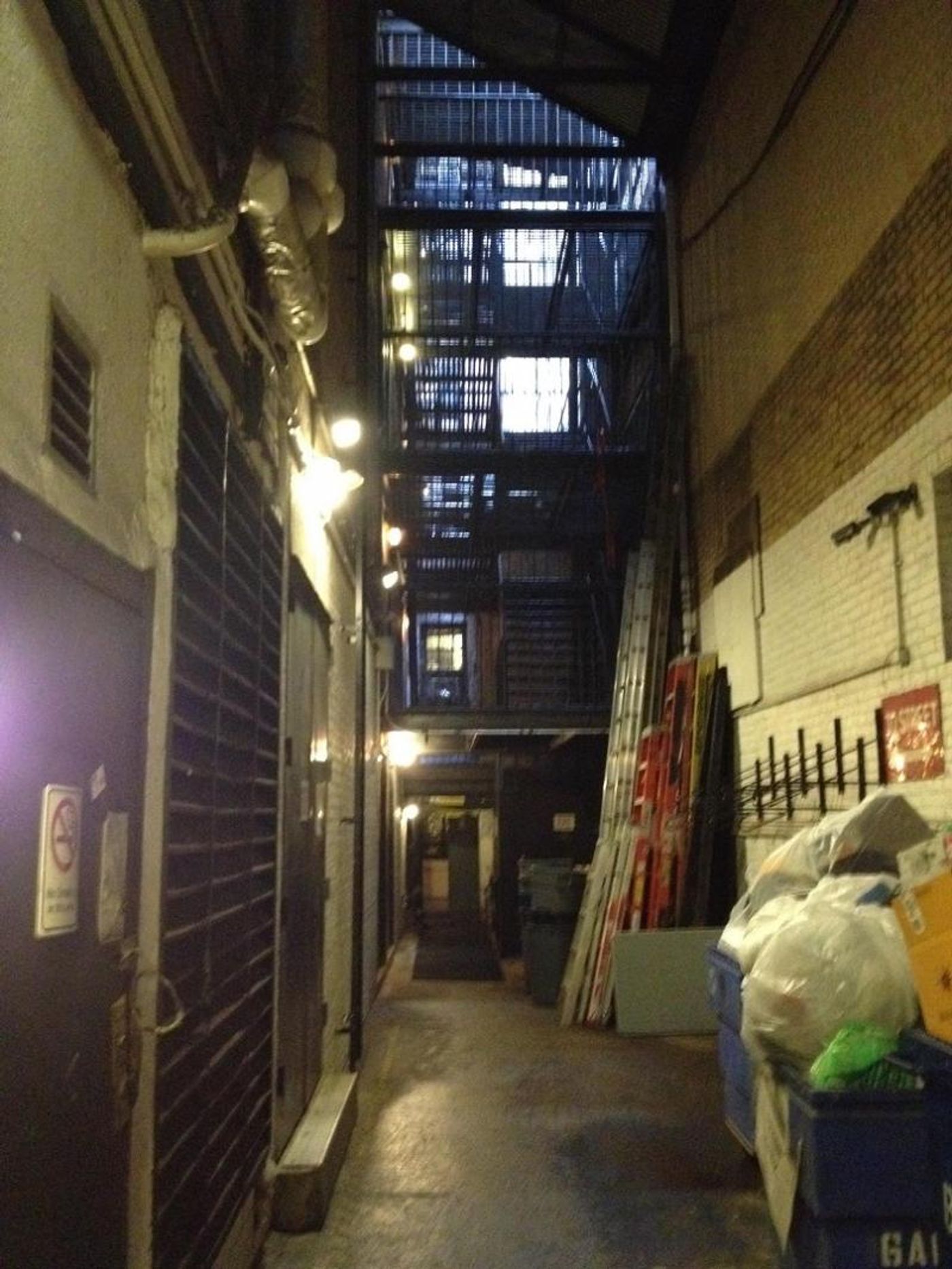 BWW Exclusive: 'The Ensemblist' Live Show Guests Share Memories of St. James  Image