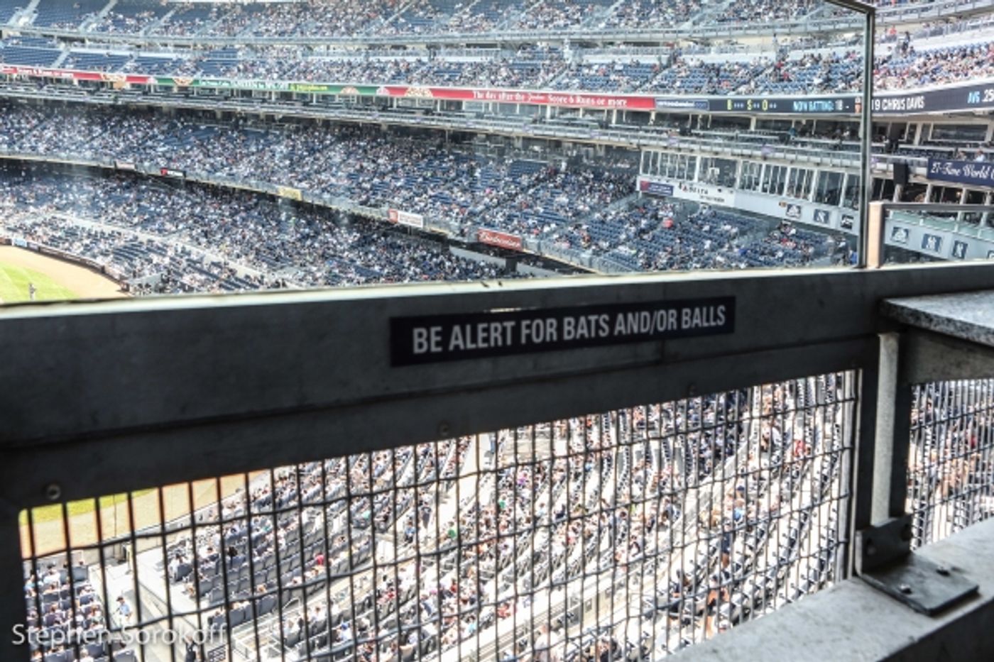 Photo Coverage: GENTLEMAN'S GUIDE's Bryce Pinkham Watches the Yankees Murder the Orioles  Image