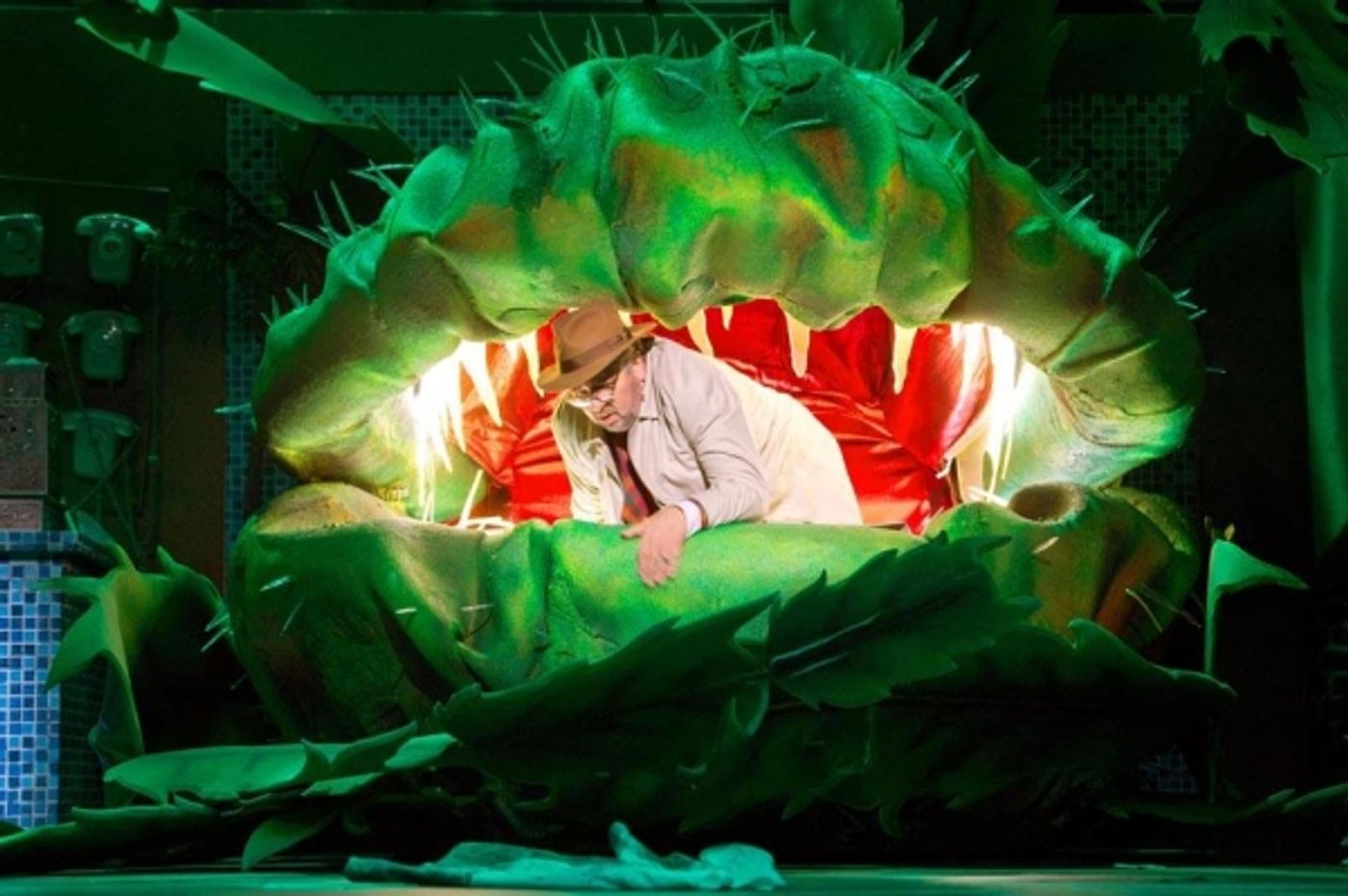 Photo Flash: Einblicke in den KLEINEN HORRORLADEN in Bonn  Image