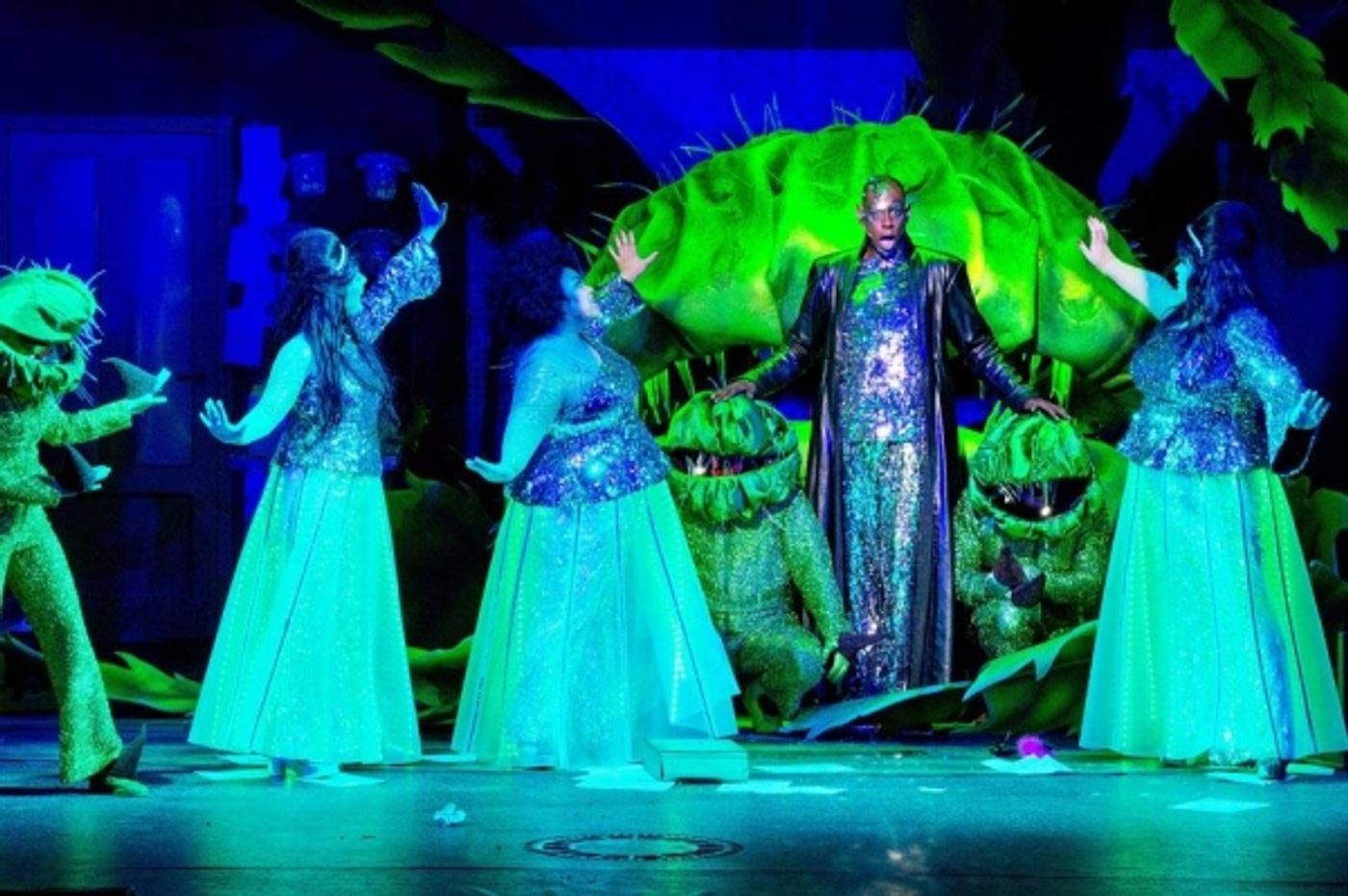 Photo Flash: Einblicke in den KLEINEN HORRORLADEN in Bonn  Image