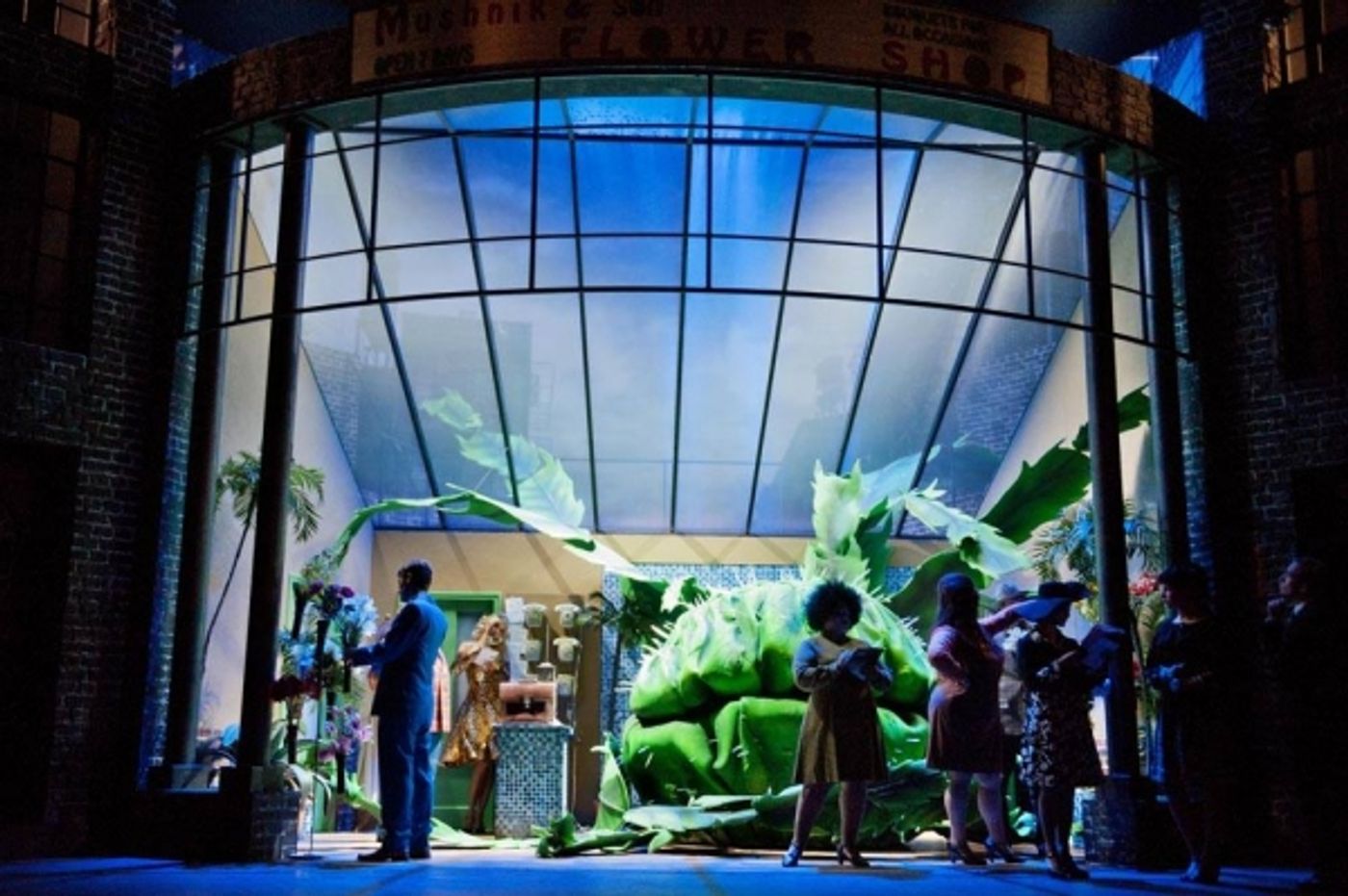 Photo Flash: Einblicke in den KLEINEN HORRORLADEN in Bonn  Image