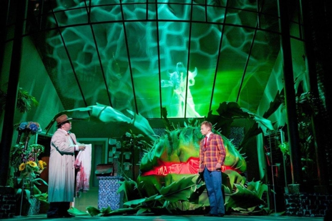 Photo Flash: Einblicke in den KLEINEN HORRORLADEN in Bonn  Image