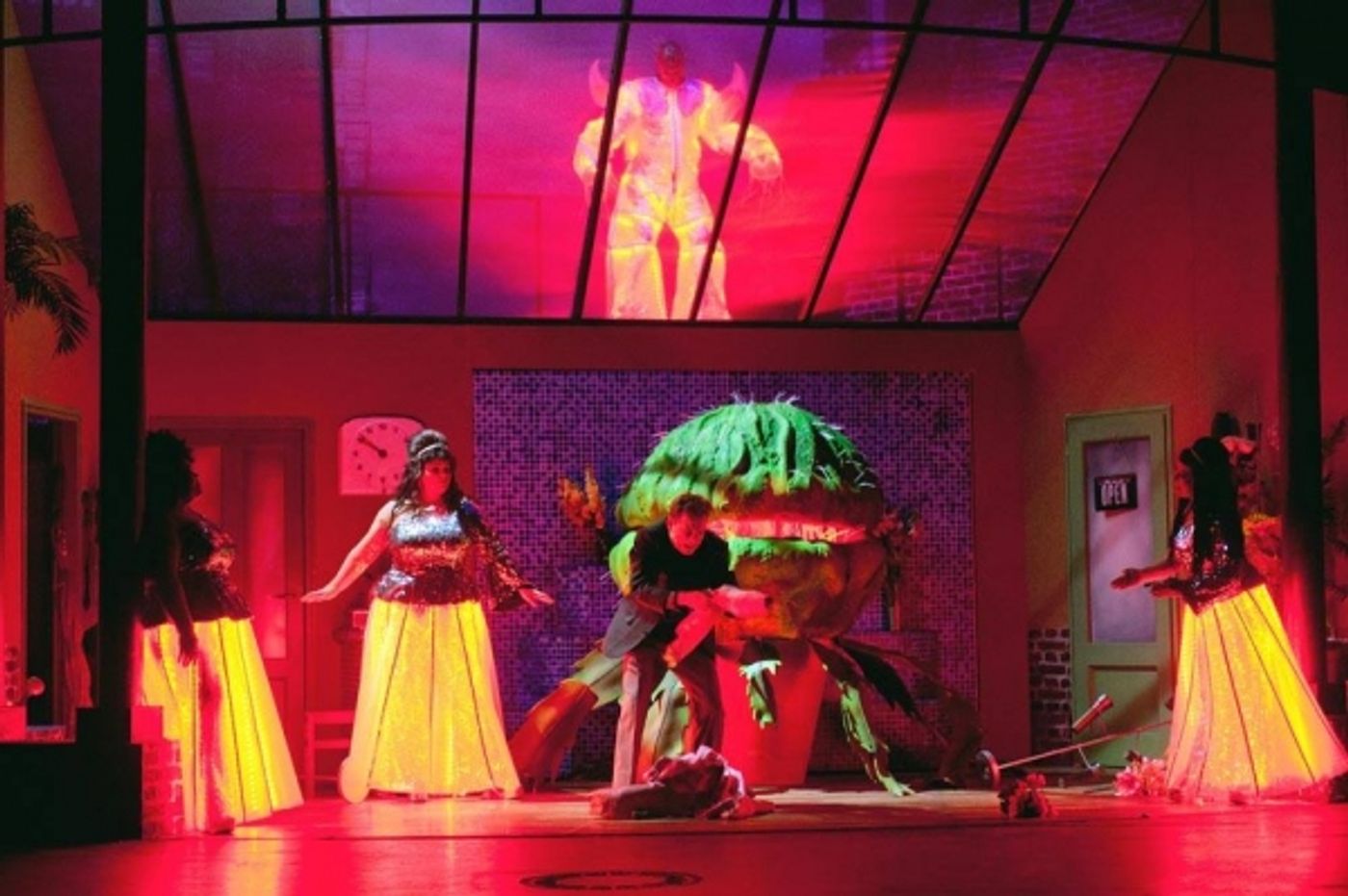 Photo Flash: Einblicke in den KLEINEN HORRORLADEN in Bonn  Image