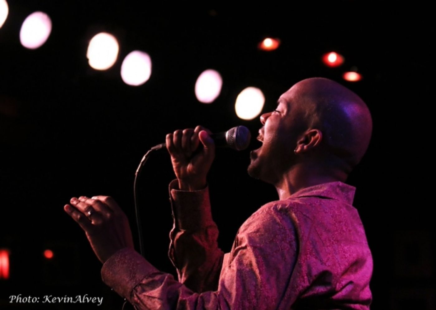 Photo Flash: Darius de Haas Brings SOMETHING TO LIVE FOR to Birdland  Image